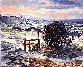 Sussex Stile, Winter, 1996 