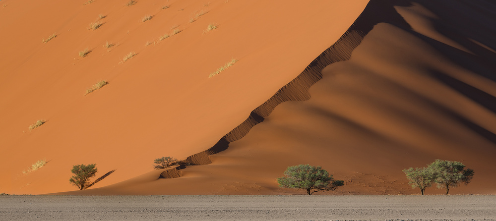 Dune from Roberto Marchegiani
