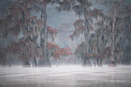 Misty Bayou