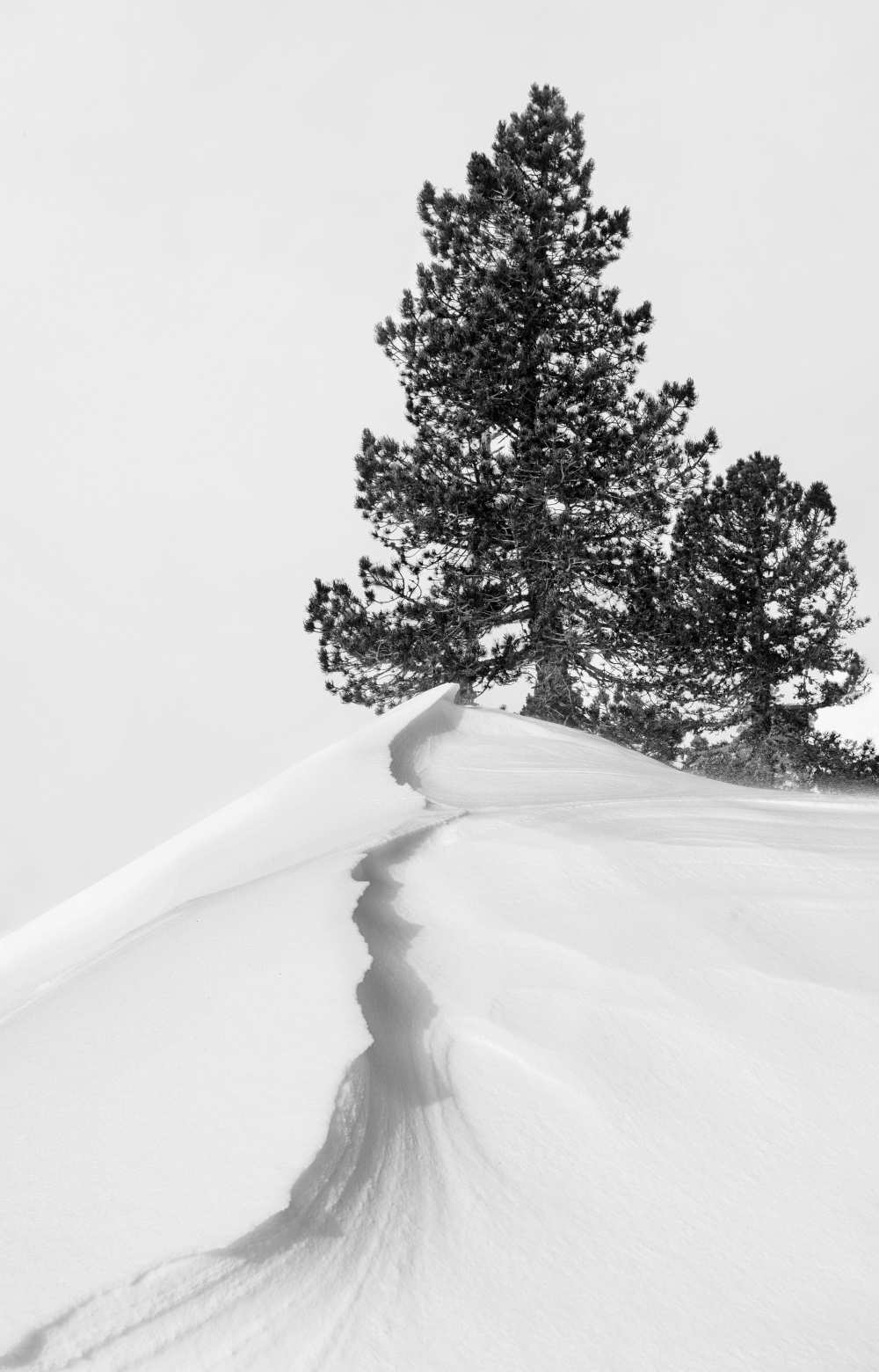 About the snow and forms from Rodrigo Núñez Buj