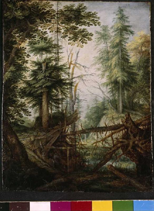 Waldlandschaft mit Eremit from Roelant Jakobsz Savery