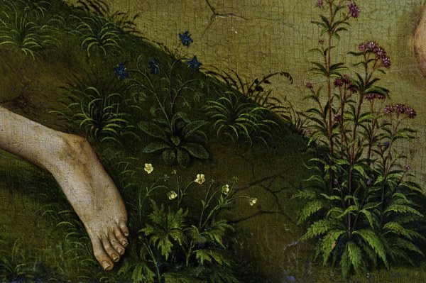 R.v.d. Weyden, Plants and flowers from Rogier van der Weyden