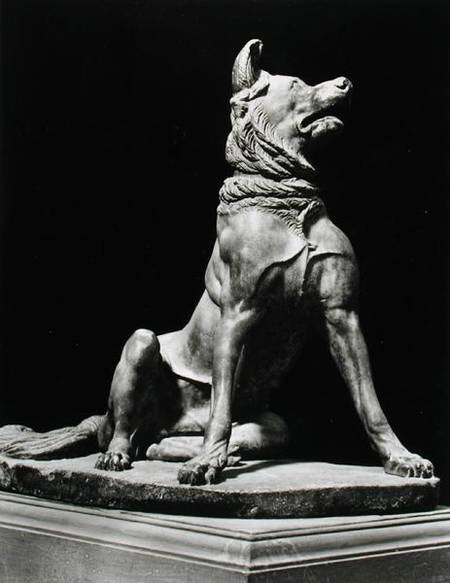 Bull Mastif Dog from Roman