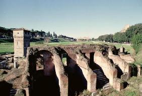 View of the stadium, Roman (photo)