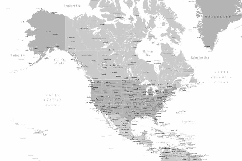 Gray map of North America with cities from Rosana Laiz Blursbyai