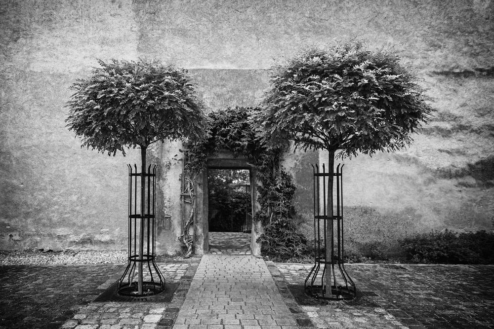 rose garden entrance from Roswitha Schleicher-Schwarz