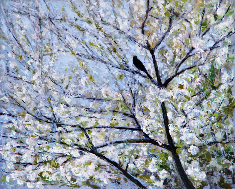 Blackbird Singing in Cherry Blossom from Ruth  Addinall