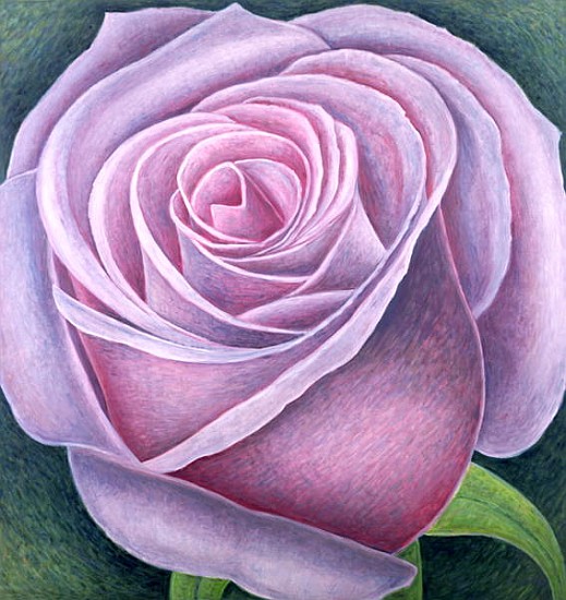 Big Rose, 2003 (oil on canvas)  from Ruth  Addinall