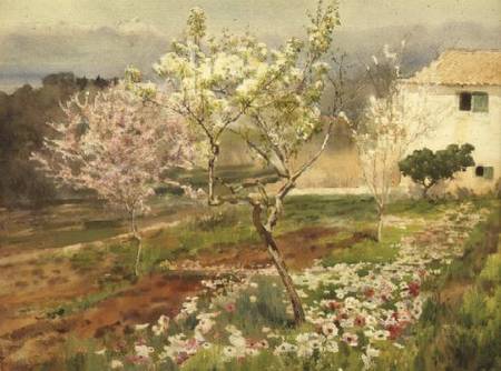 Springtime in France from Ruth Mercier