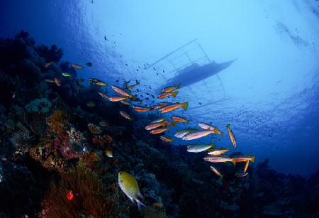 Under The Boat