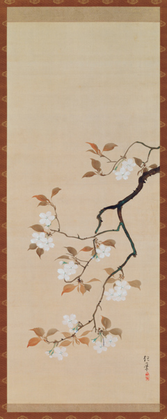 Hanging Scroll Depicting Cherry Blossoms, from A Triptych of the Three Seasons, Japanese, early 19th from Sakai Hoitsu