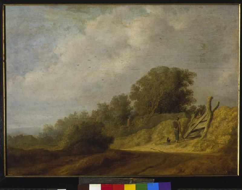 Landscape with way from Salomon van Ruysdael