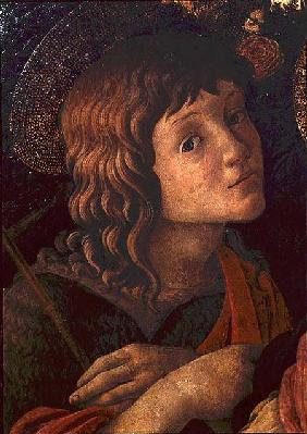 Madonna and Child with St. John the Baptist, detail of the young saint
