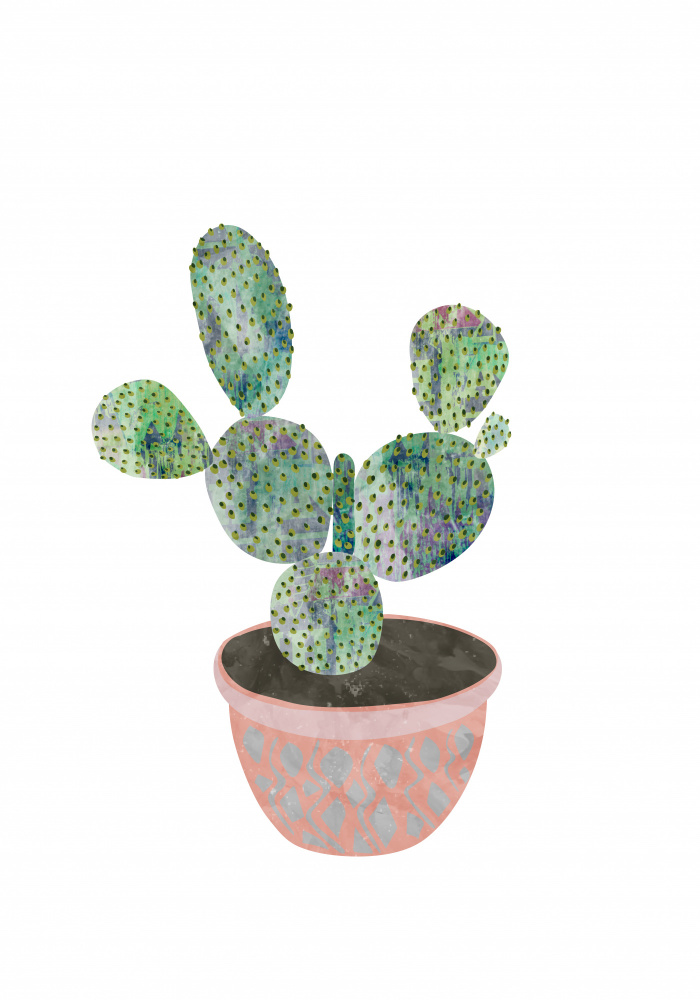 Boho scandi cactus 3 from Sarah Manovski