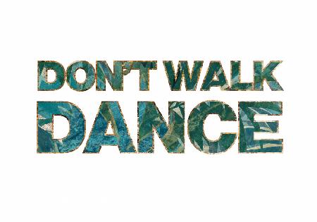 Dont Walk Dance jungle typography