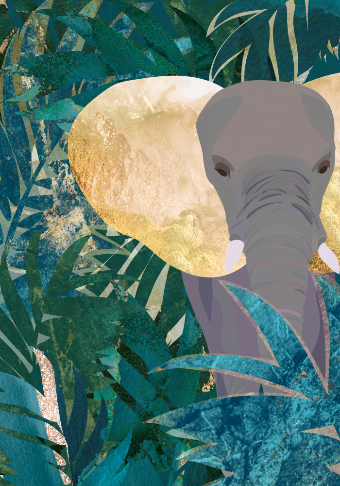 Elephant in the jungle from Sarah Manovski