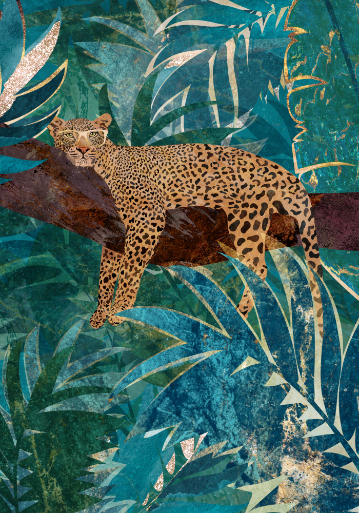 Lazy Leopard in the jungle from Sarah Manovski