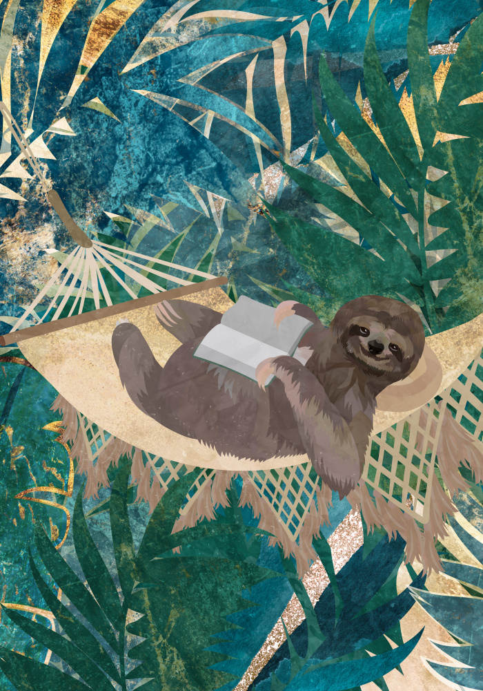 Sloth in the jungle from Sarah Manovski