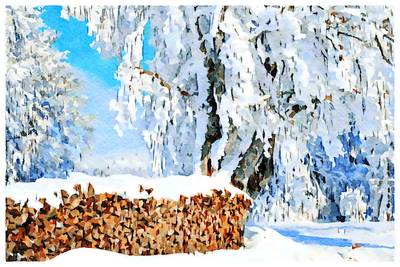Pile of wood in winter