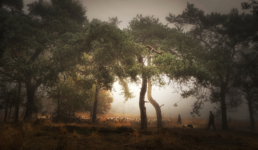 Foggy memory  of the past from Saskia Dingemans