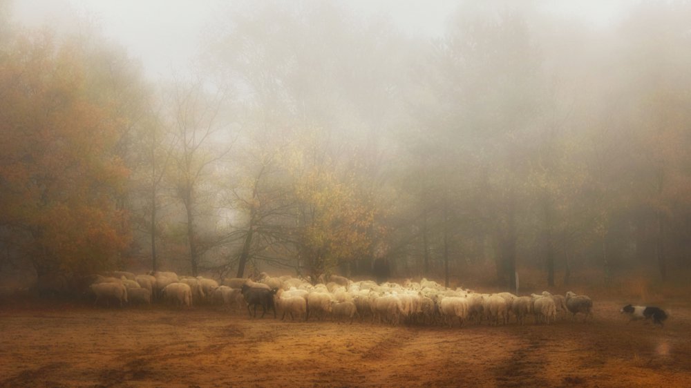 Foggy memory from the past from Saskia Dingemans