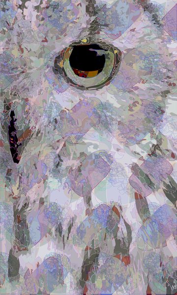 Owl3 from Scott J. Davis