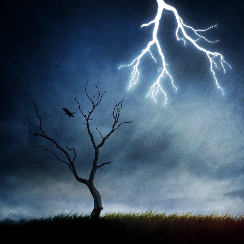 lightning tree from Sebastien DEL GROSSO