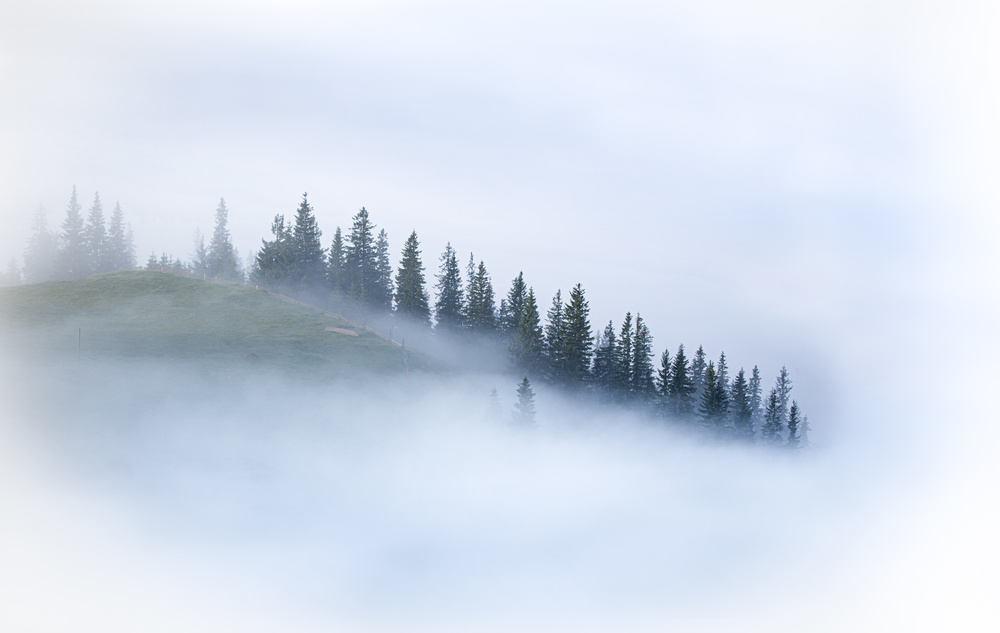 Dissolving in the fog from Sergei Viktorov