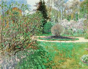 A garden. Spring