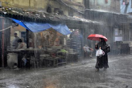 Woman in umbrella