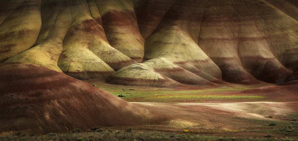 Painted Hills in Spring from Shenshen Dou
