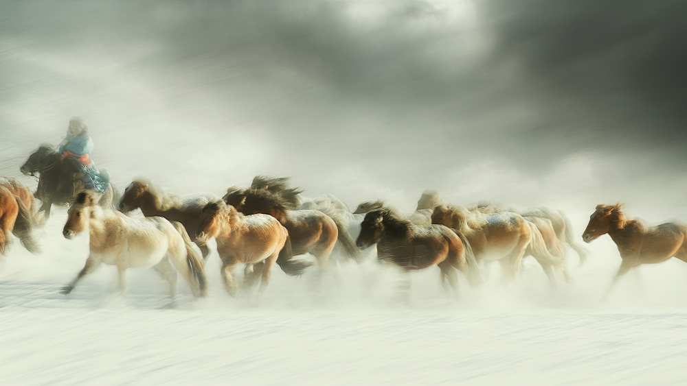 Horses gallop from Shu-Guang Yang