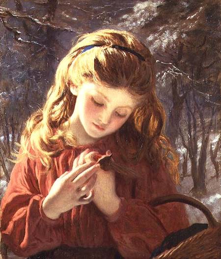 A New Friend from Sophie Anderson