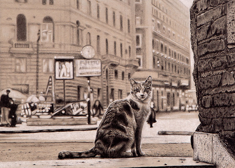 Cat in the big city from Stephen Langhans