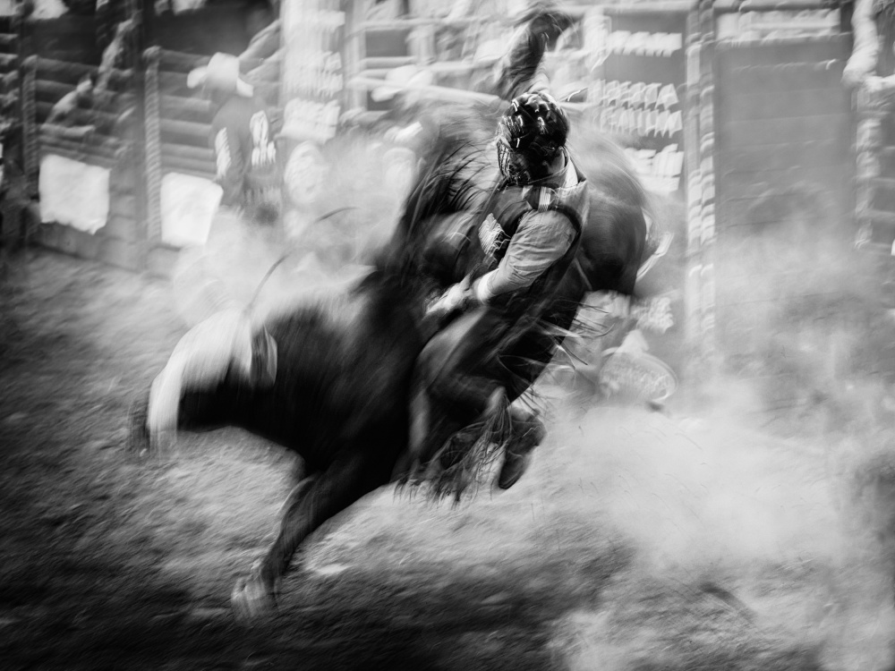 Bull Riding from Steven Zhou
