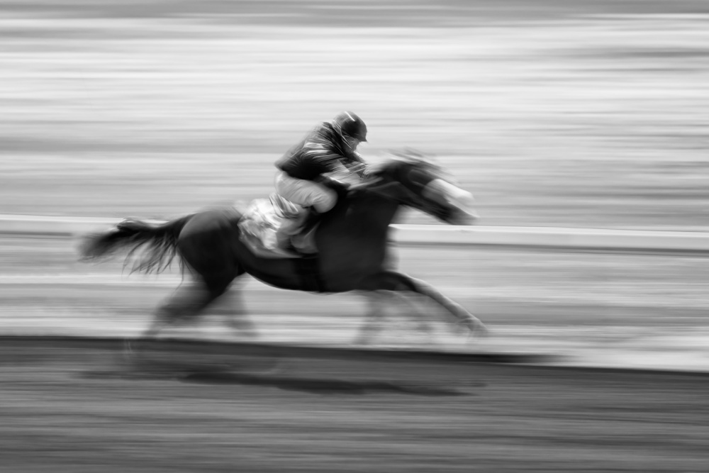 Horse Racing 5 from Steven Zhou