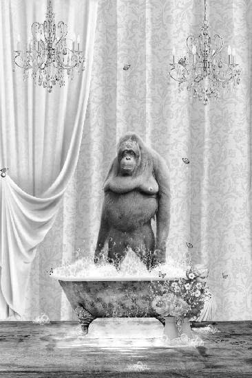 Orangutan &amp; Bubbles Black &amp; White