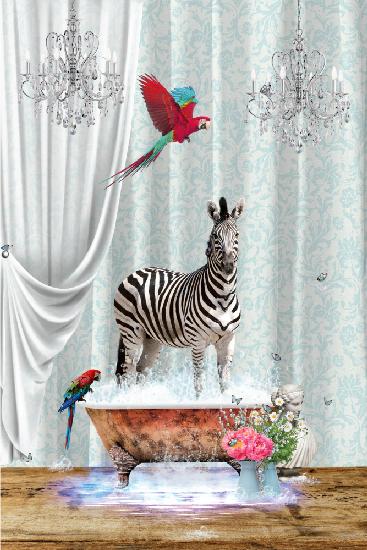 Zebra Parrots &amp; Bubbles