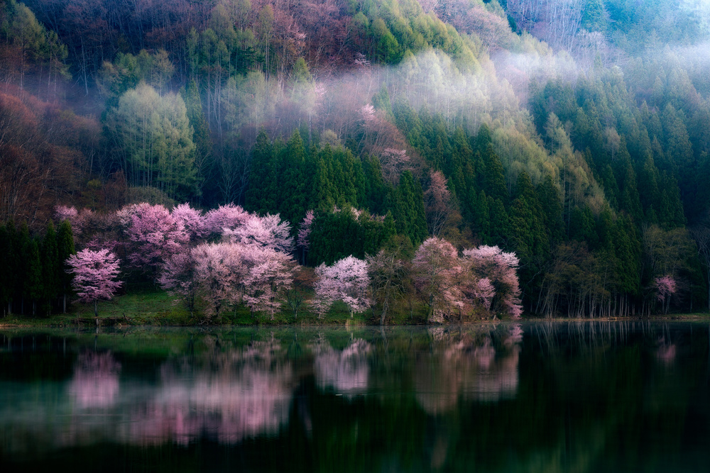In The Morning Mist from Takeshi Mitamura