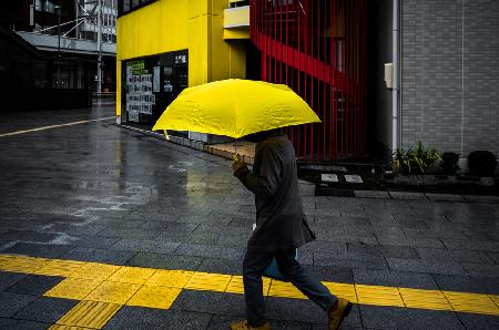 The yellow colors street