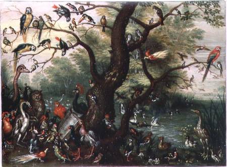 Concert of Birds from the Elder Kessel