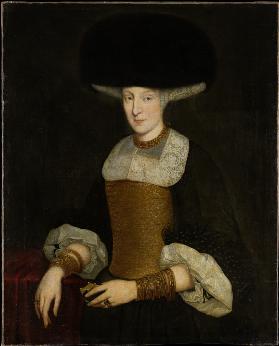 Portrait of a Richly Dressed Young Woman