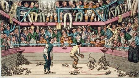 The Celebrated Dog Billy Killing 100 Rats at the Westminster Pit, from 'Anecdotes, Original and Sele from Theodore Lane