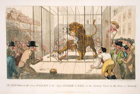 The Fight between the Lion Wallace and the Dogs Tinker and Ball in the Factory Yard in the Town of W from Theodore Lane