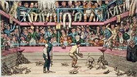 The Celebrated Dog Billy Killing 100 Rats at the Westminster Pit, from 'Anecdotes, Original and Sele