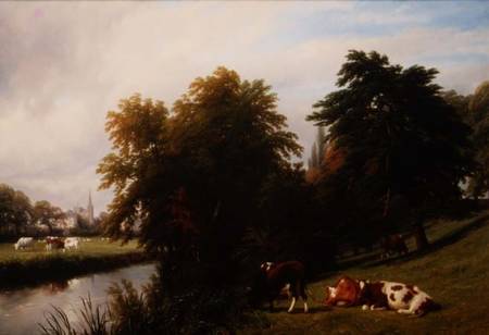 Cattle Grazing by a River from Thomas Baker