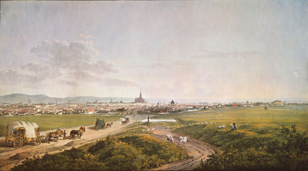 View of Vienna from Thomas Shotter Boys