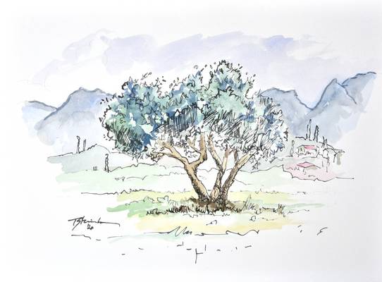 Baum in Soiano d.L. from Thomas Steinmetz