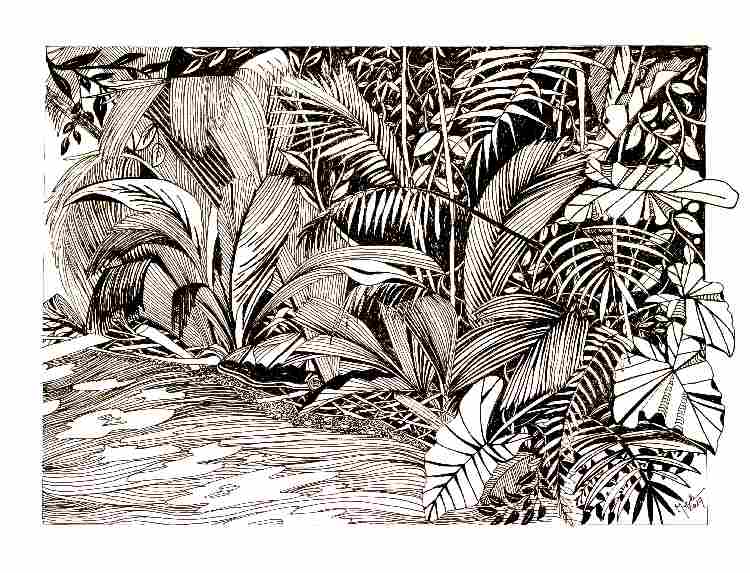 Palm Forest from Brigitte Thonhauser-Merk