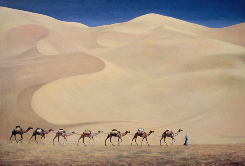 Camel Train from Tilly  Willis